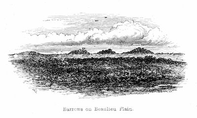 Barrows on Beaulieu Plain by Walter Crane